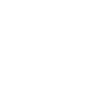 Texas commission on the arts